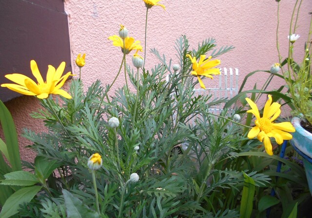 DSCN1827.JPG